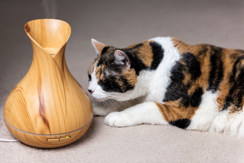 Are Essential Oils Safe for Your Pet?
